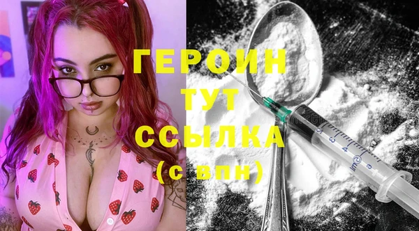 индика Арсеньев
