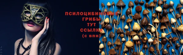 синтетический гашиш Приозерск