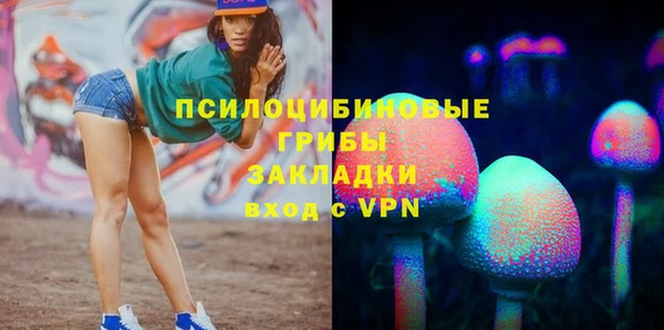 a pvp Алзамай