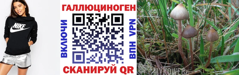 Галлюциногенные грибы MAGIC MUSHROOMS  наркотики  даркнет формула  Бобров 